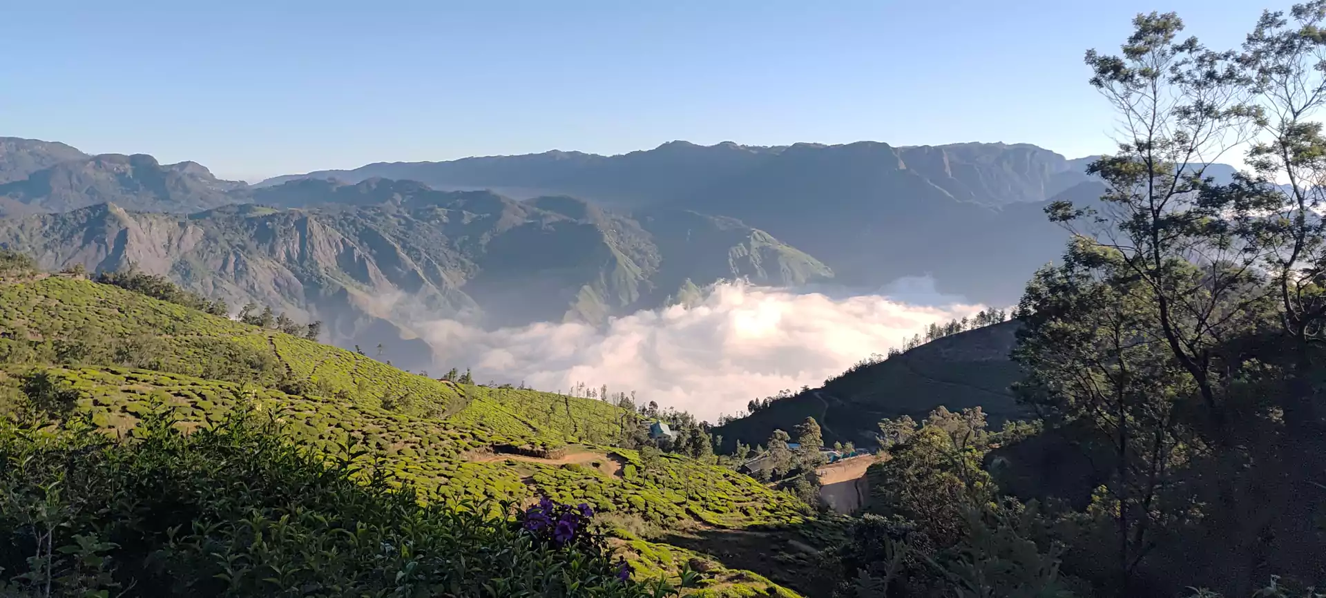 Panoramic view of the Kolukkumalai Tea Plantation near Munnar, where mist-covered tea gardens stretch across the high-altitude slopes of the Western Ghats.