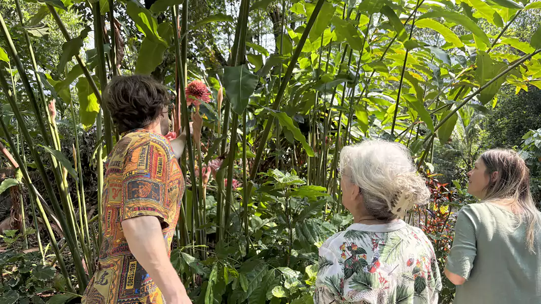 Guests exploring the lush tropical gardens at Sceva's Garden Home, a peaceful premium homestay near Munnar, Kerala.