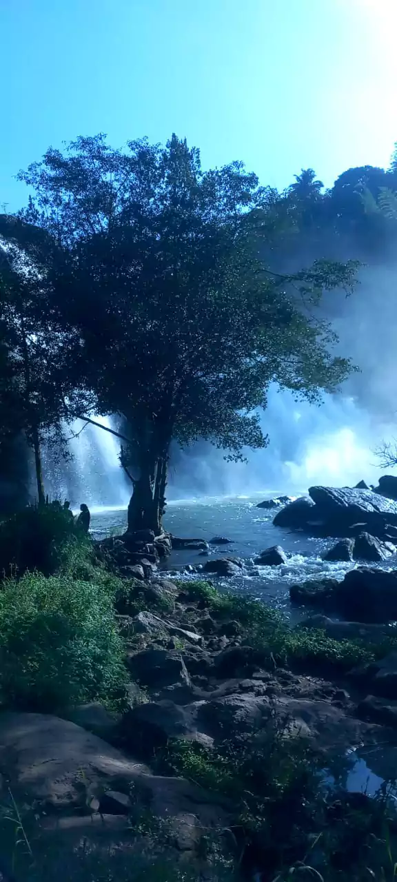 Early morning view of Chunayanmakkal Waterfalls during a signature jeep journey near Munnar, surrounded by lush forests and fresh mountain scenery.