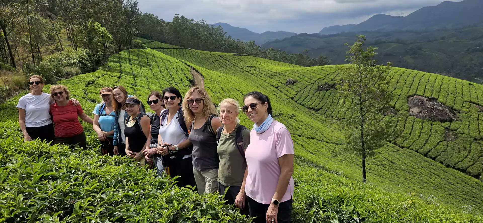 Guests enjoying a soft nature trek through Munnar's lush tea plantations, surrounded by rolling hills, scenic viewpoints, and the tranquil landscapes of the Western Ghats
